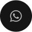 whatsapp icon